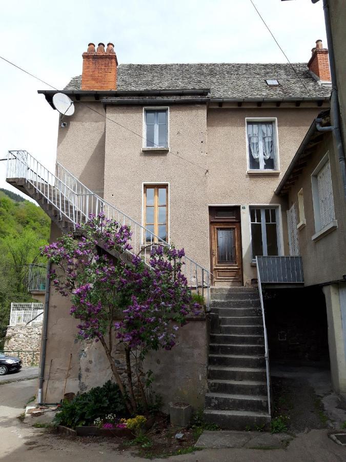 Gite De Truyere Entraygues-sur-Truyère Dış mekan fotoğraf